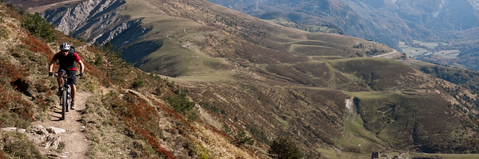 Mountain bike